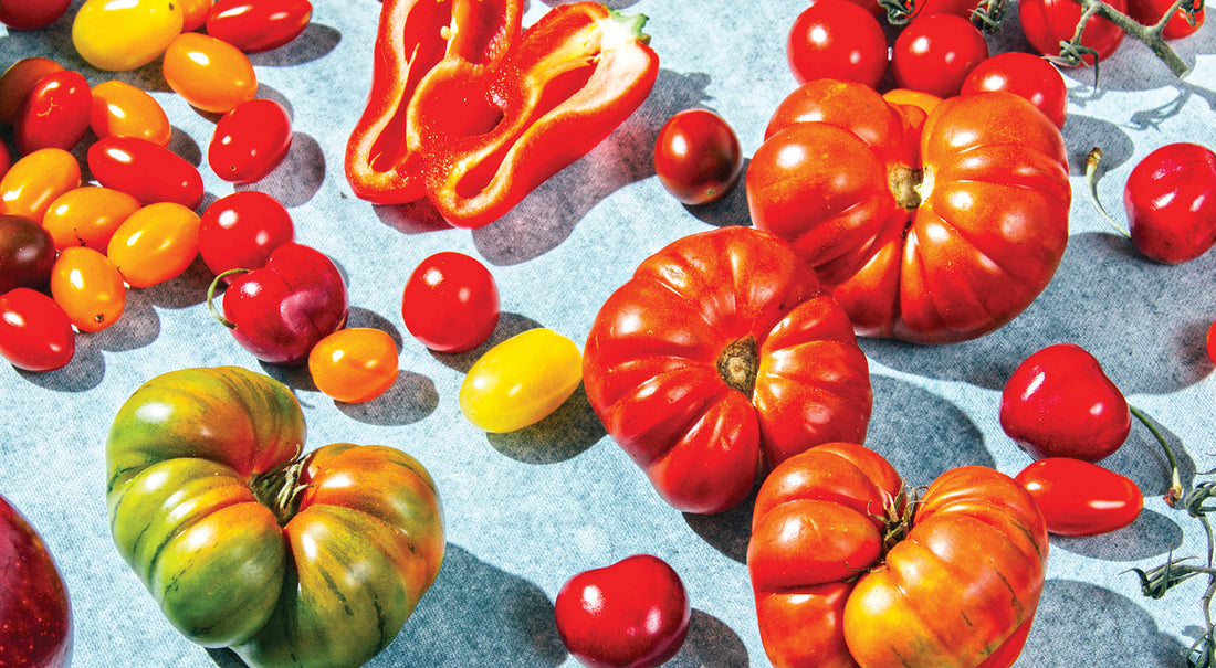 Garden Heat Vinegar Gazpacho